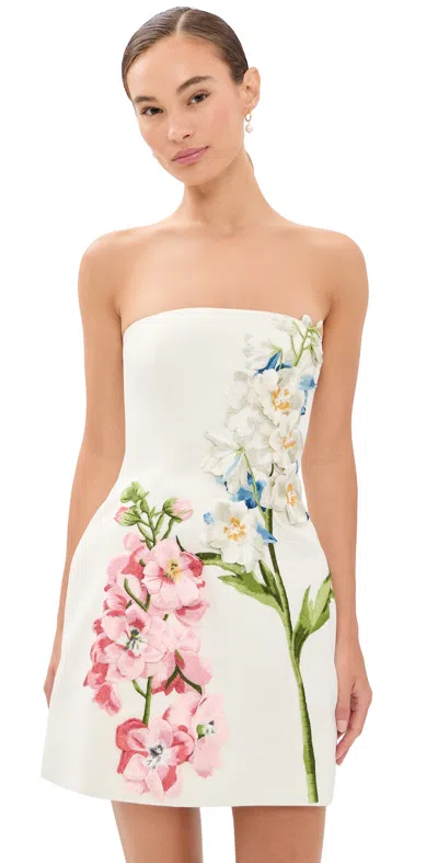 Leo Lin Roselle Embroidered Bustier Mini Dress Snapdragon Print In Snow