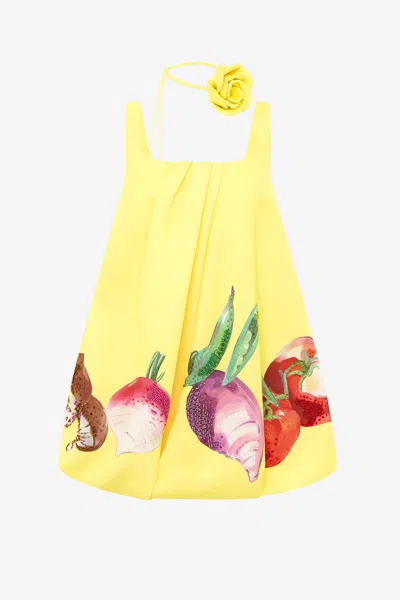 Leo Lin Suki Puff Mini Dress - Harvest Print