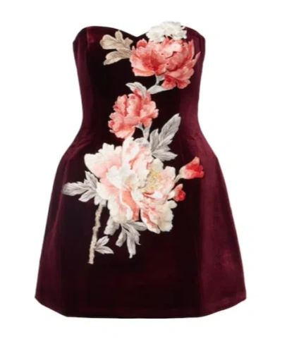 Leo Rosario Floral-appliqué Velvet Minidress In Brown