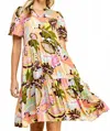 Les Amis Puff Sleeve Tiered Dress In Multicolor In Multi