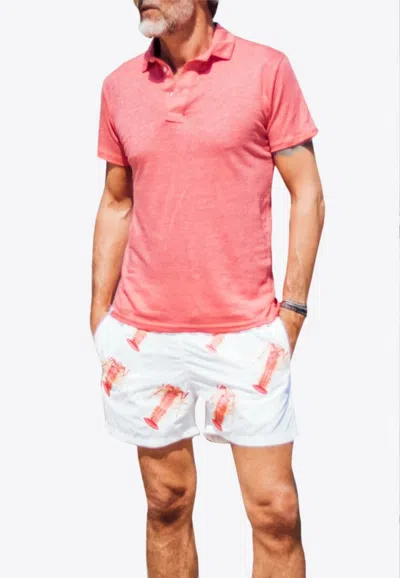 Les Canebiers Lobster All-over Print Swim Shorts In White