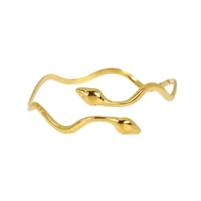 Les Cléias Acier Inoxydable Golden Stainless Steel Snake