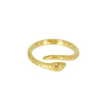 Les Cléias Acier Inoxydable Golden Stainless Steel Snake Ring Jemina