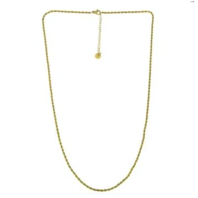 Les Cléias Acier Inoxydable Long Necklace And Braided Mesh In Lyla Stainless Steel In Gold