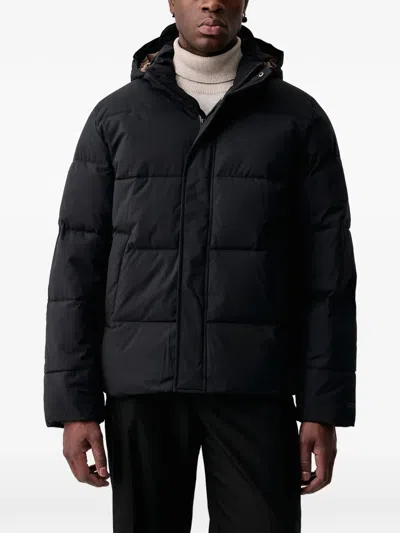 Les Deux Hooded Padded Jacket In Black