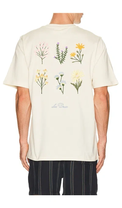 Les Deux Wild Flower T-shirt In Multi