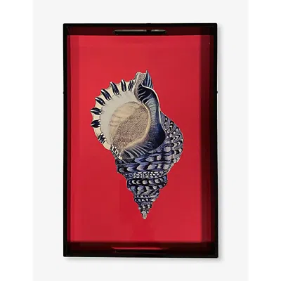 Les Ottomans Shell Wooden Tray 40cm X 25cm