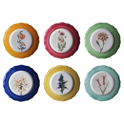 Pre-owned Les Ottomans The Sultan's Garden Hand-painted Ceramic Dinner Plates - Set Of 6, Made In Italy In Brown