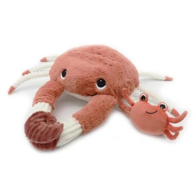 Les Ptipotos Kids'  Crab Mom & Her Baby