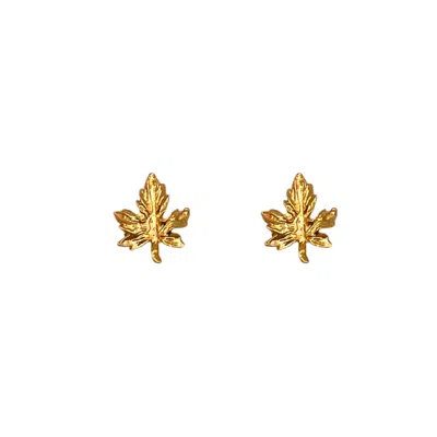 Les Reines Women's Petite Leaf - Stud Minimalist Earrings 24k Gold Plated
