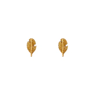 Les Reines Women's Petite Plume - Stud Minimalist Earrings 24k Gold Plated