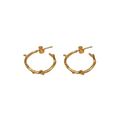Les Reines Women's The Branchlet Petite - Hoop Earrings 24k Gold Plated