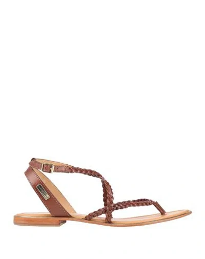 Les Tropeziennes Woman Thong Sandal Brown Size 10 Leather