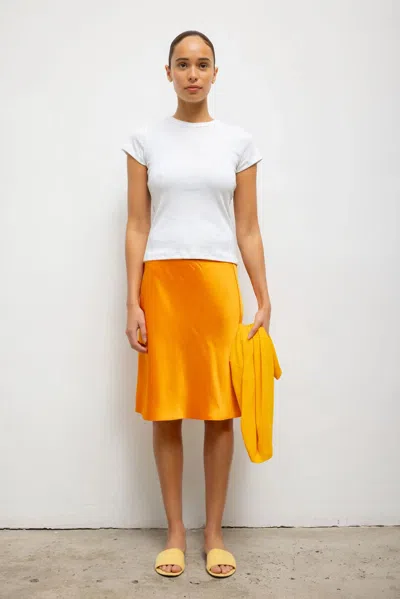 Leset Barb Slip Skirt
