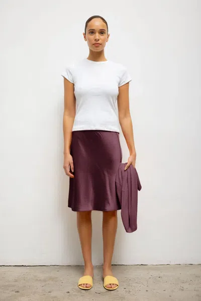 Leset Barb Slip Skirt In Purple