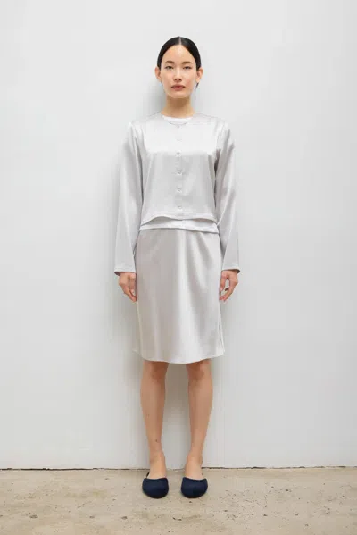 Leset Barb Slip Skirt In Gray