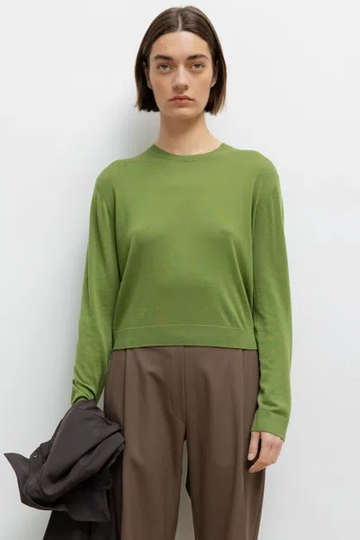 Leset James Classic Crew In Green