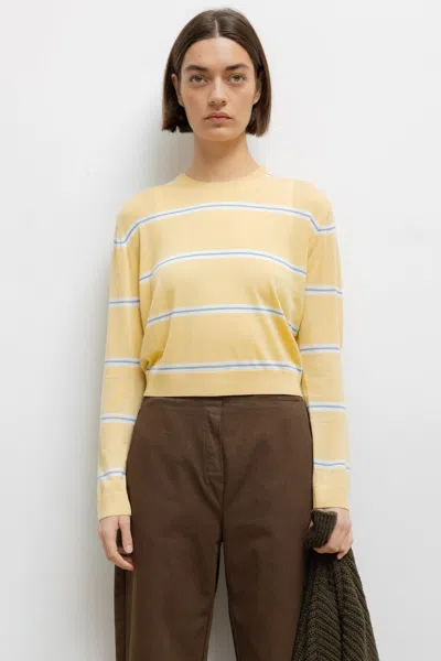 Leset James Stripe Classic Crew In Yellow
