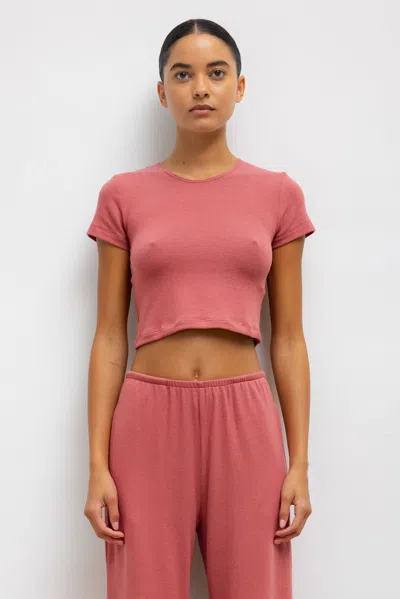 Leset Lauren Crop Slim Fit Tee In Radish