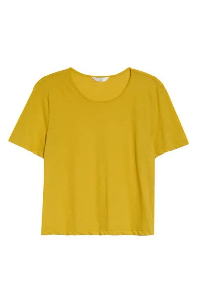 Leset Milo Crop T-shirt In Yellow