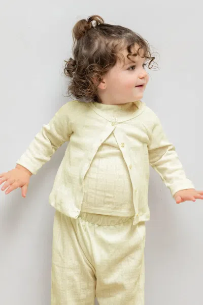 Leset Pointelle Bebe Cardigan In Yellow