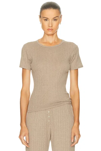 LESET POINTELLE SLIM FIT TEE