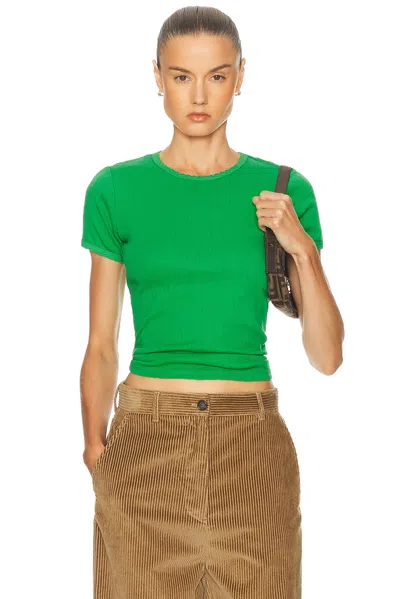 Leset Pointelle Slim Fit Tee In Green