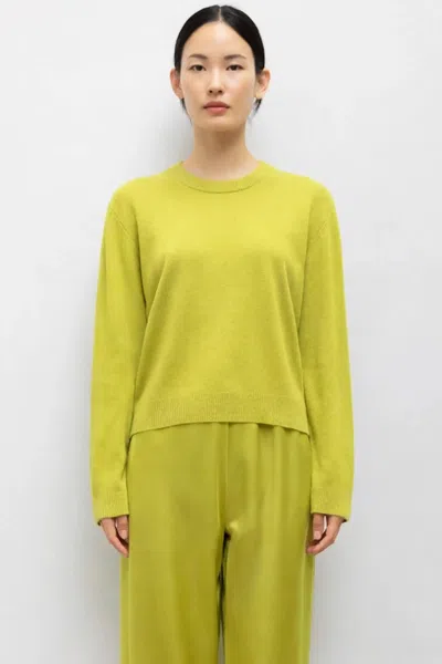 Leset Pre-order: Jesse Classic Crew In Yellow