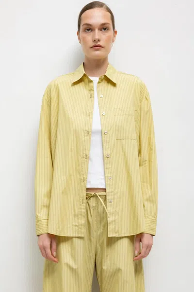 Leset Pre-order: Yoshi Stripe Classic Oversized Button Down In Multi