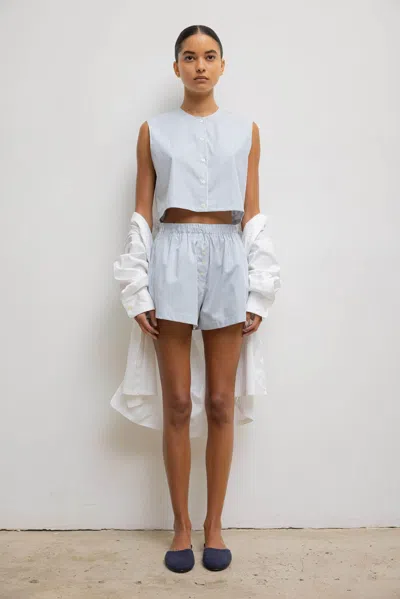 Leset Yoshi Stripe Boxer Short In Blue