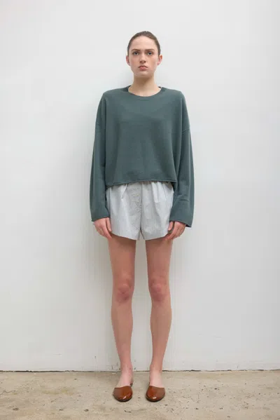 Leset Yoshi Stripe Boxer Short In Green