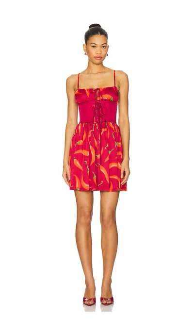 Leslie Amon Slip Corset Mini Dress In Red