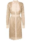 Lethicia Bronstein Ada Panelled Lace Midi Shirtdress In Neutrals