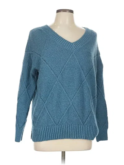 Pre-owned Lety & Me Pullover Sweater In Blue