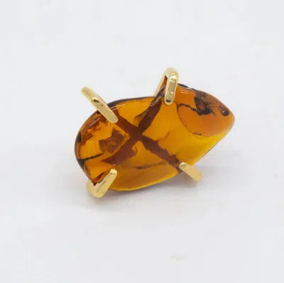 Levens Jewels Women's Talisman Earrings In Amber In Brown