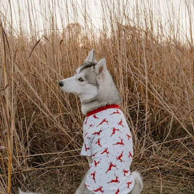 Leveret Big Dog Reindeer Pajamas In Red