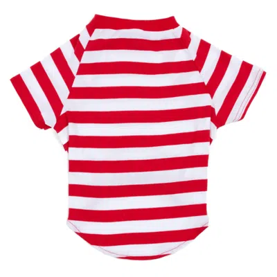 Leveret Christmas Big Dog Cotton Pajamas Striped In Multi