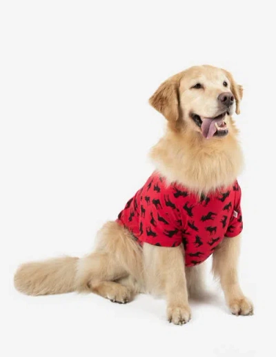 Leveret Dog Cotton Matching Family Holiday Pajamas In Red