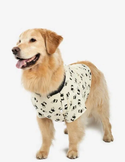 Leveret Dog Cotton Matching Family Holiday Pajamas In Neutral