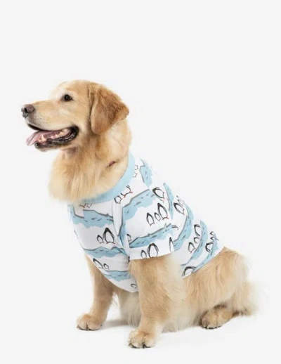Leveret Dog Cotton Matching Family Holiday Pajamas In Blue