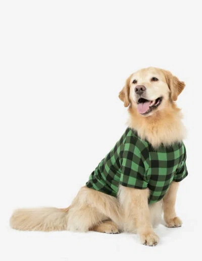 Leveret Dog Cotton Matching Family Holiday Pajamas In Green