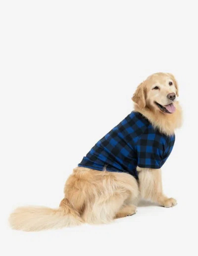 Leveret Dog Cotton Matching Family Holiday Pajamas In Blue