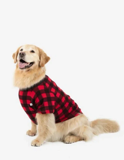 Leveret Dog Cotton Matching Family Holiday Pajamas In Red