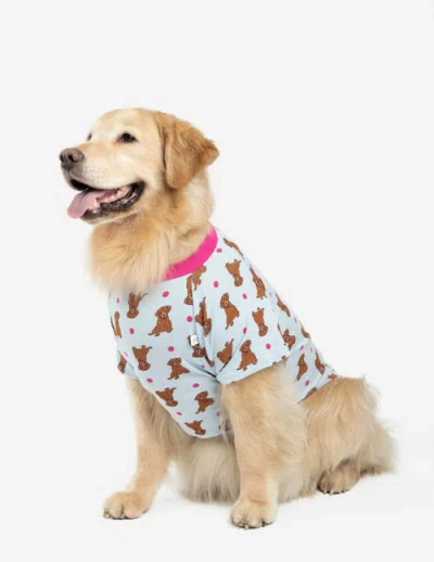 Leveret Dog Cotton Matching Family Holiday Pajamas In Multi