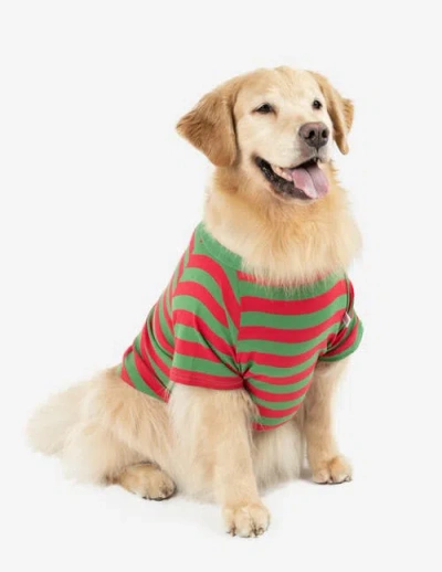 Leveret Dog Cotton Matching Family Holiday Pajamas In Multi
