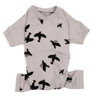 Leveret Dog Cotton Pajamas Bird Gray In Grey