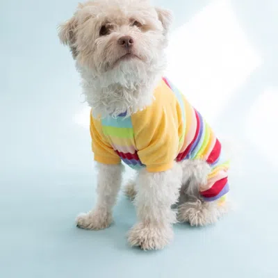 Leveret Dog Cotton Rainbow Girl Stripes Pajamas In Yellow
