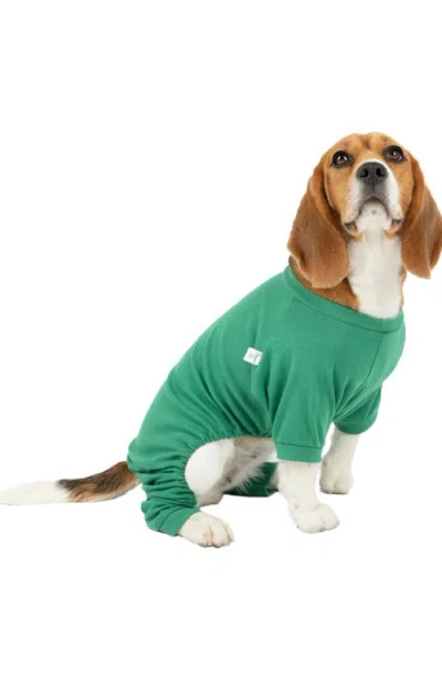 Leveret Dog Cotton Solid Matching Family Pajamas In Green