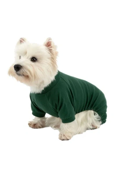 Leveret Dog Cotton Solid Matching Family Pajamas In Green
