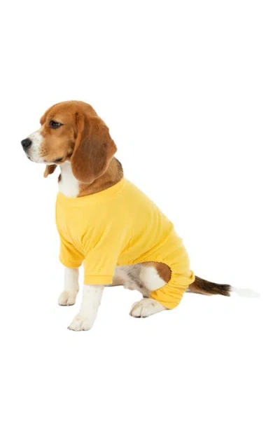 Leveret Dog Cotton Solid Matching Family Pajamas In Yellow